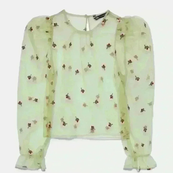 Zara Green Sheer Top size XS - Picture 1 of 5